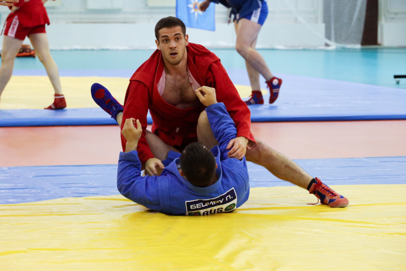 Сборная команда Приволжского федерального округа стала чемпионом Кубка МЧС России по самбо