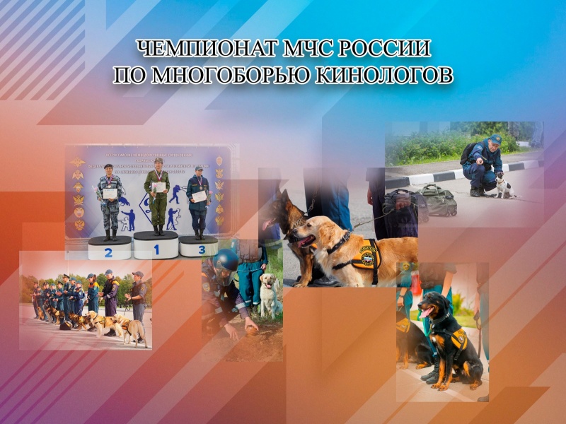 Чемпионат МЧС России по многоборью кинологов
