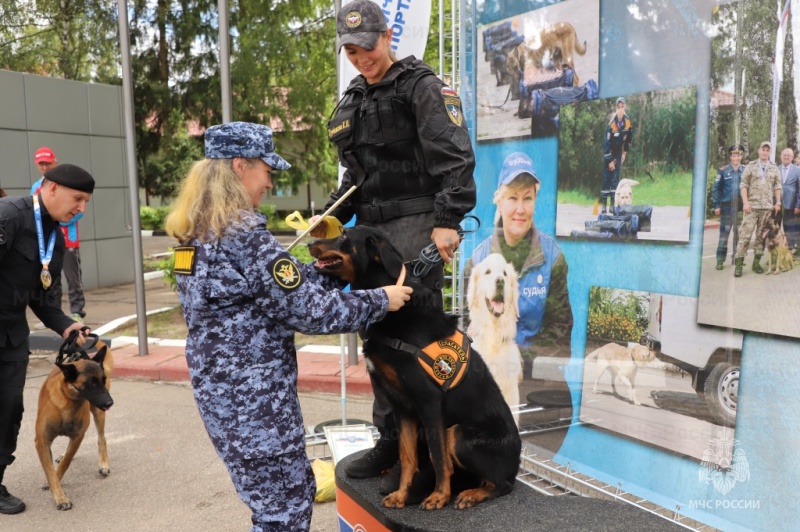 В подмосковном Ногинске определили лучших кинологов II Чемпионата МЧС России по многоборью кинологов