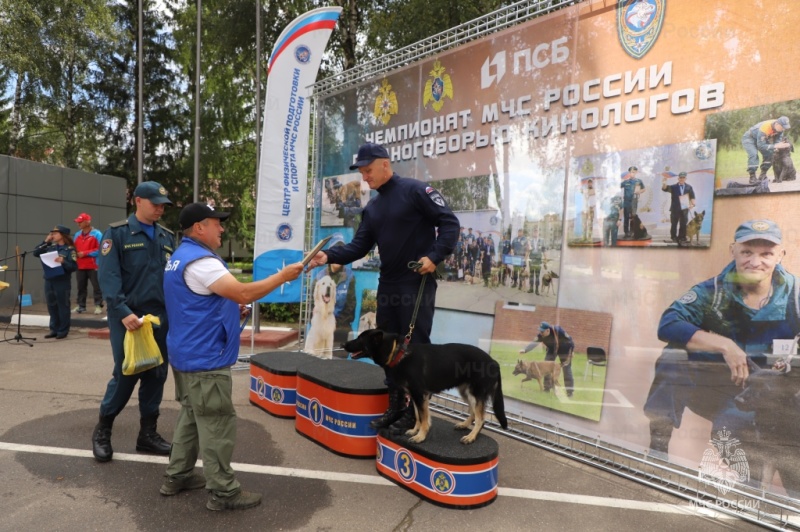 В подмосковном Ногинске определили лучших кинологов II Чемпионата МЧС России по многоборью кинологов