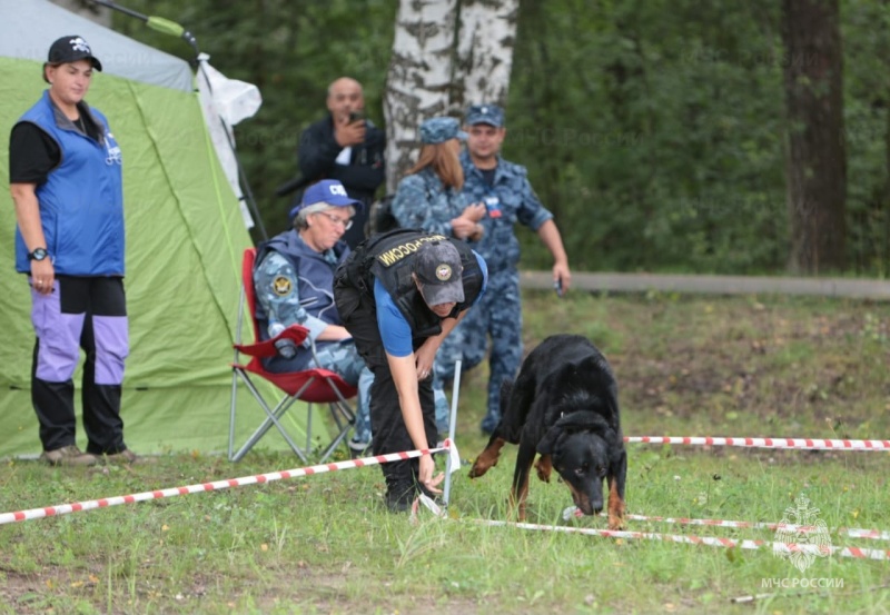 В подмосковном Ногинске определили лучших кинологов II Чемпионата МЧС России по многоборью кинологов