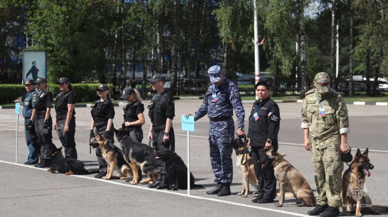 В подмосковном Ногинске стартовал Чемпионат МЧС России среди кинологов