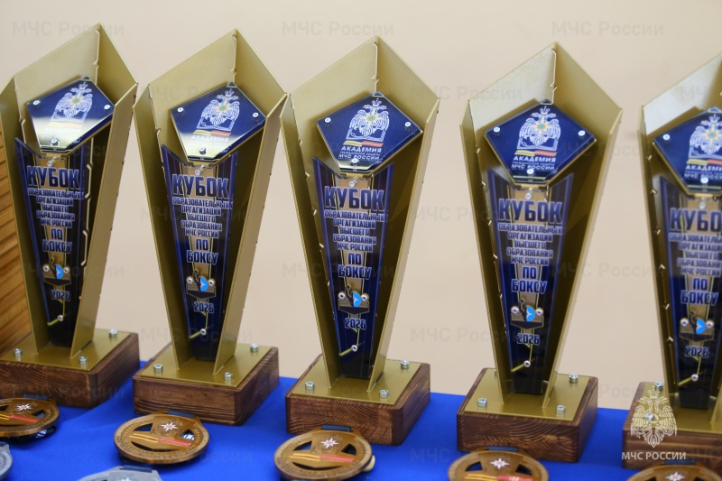 Сила, Воля и Дух Победы! В Академии гражданской защиты завершился Кубок МЧС России по боксу.