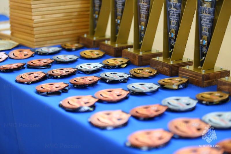 Сила, Воля и Дух Победы! В Академии гражданской защиты завершился Кубок МЧС России по боксу.