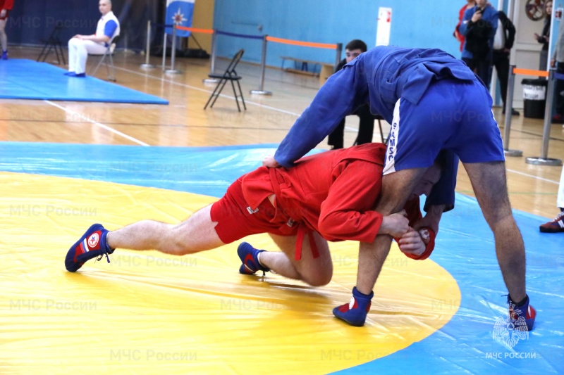 Сборная команда Академии Государственной противопожарной службы МЧС России стала победителем Всероссийских соревнований по самбо, приуроченных ко Дню памяти сотрудников МЧС России, погибших при исполнении служебных обязанностей