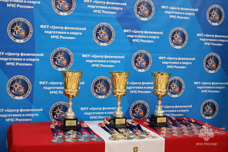 Сборная команда Академии Государственной противопожарной службы МЧС России стала победителем Всероссийских соревнований по самбо, приуроченных ко Дню памяти сотрудников МЧС России, погибших при исполнении служебных обязанностей