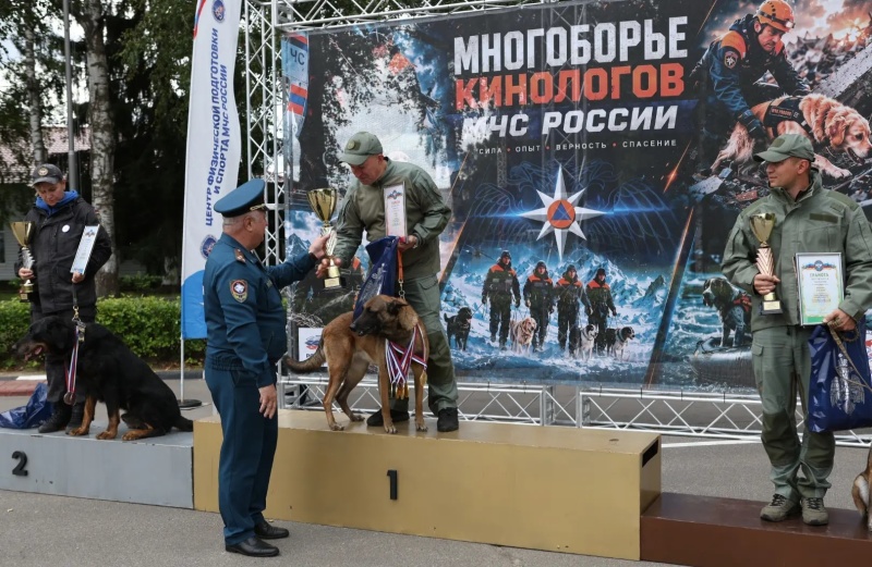 Чемпионат МЧС России по многоборью кинологов завершился в Ногинске