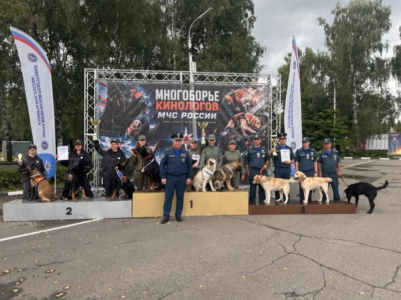 Мастерство и преданность: в Ногинске завершились соревнования кинологических расчетов МЧС России