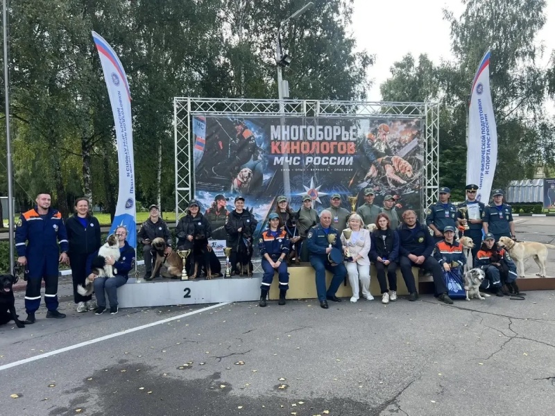 Мастерство и преданность: в Ногинске завершились соревнования кинологических расчетов МЧС России