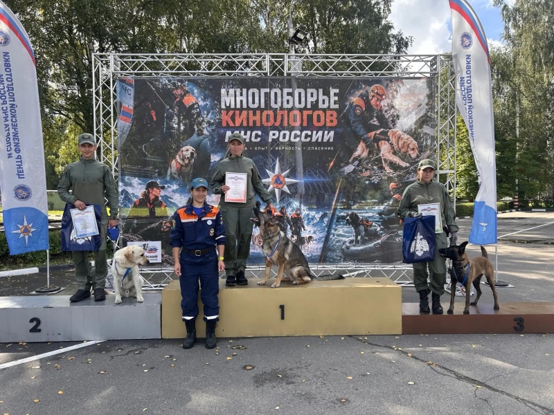 Мастерство и преданность: в Ногинске завершились соревнования кинологических расчетов МЧС России
