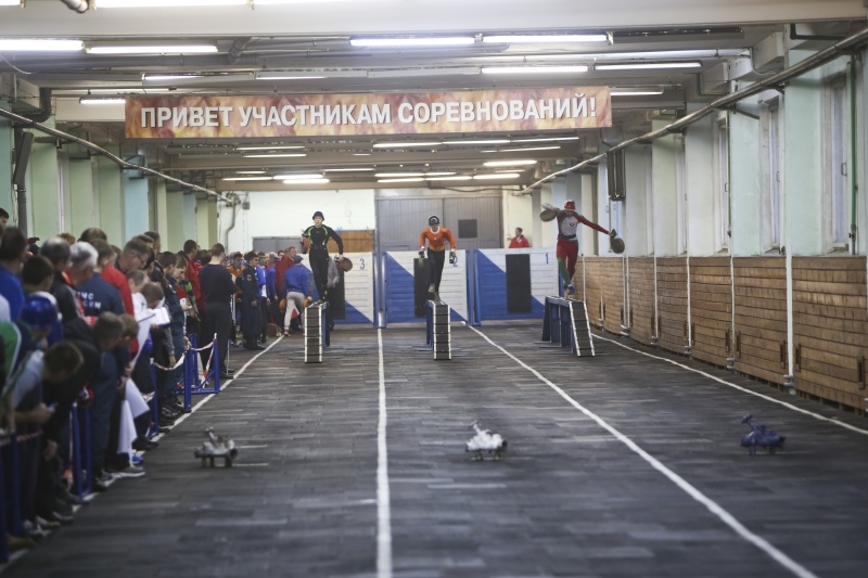 В Санкт-Петербурге прошли XIII открытые зимние соревнования по пожарно-прикладному спорту среди юношей «Рождественские старты – 2013» 