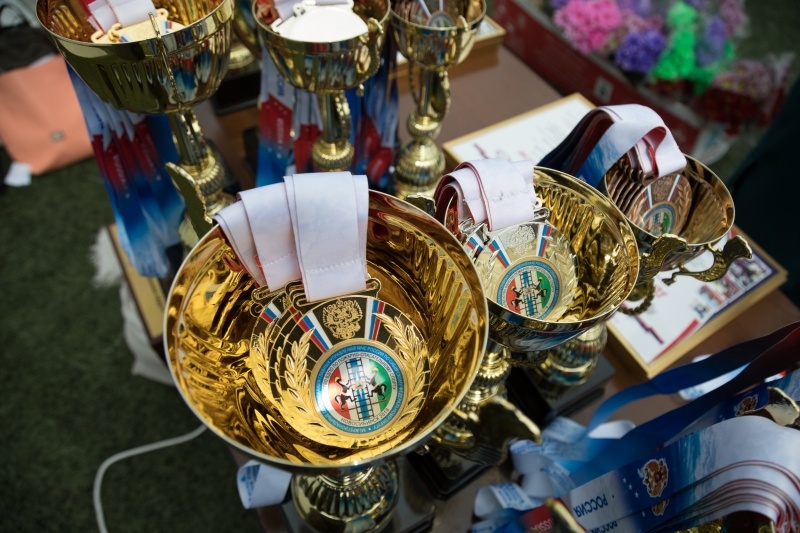 Праздник спорта завершился в городах Российской Федерации